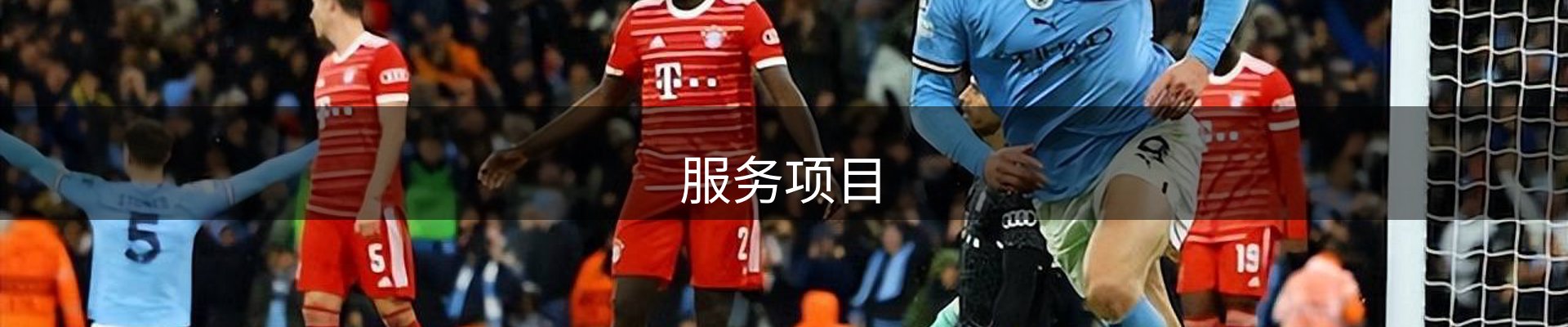 服务项目
